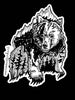 WestCoast Bear and WestCoast Owl
