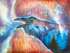 Corvus Corax