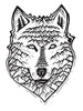 Mountain Wolf
