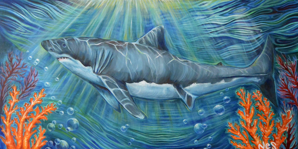 The Shark