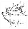 Elk
