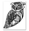 West Coast Owl